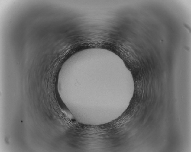 X0000094421057200711291544