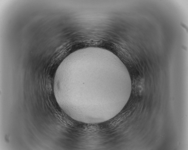 X0000094421058200711291544