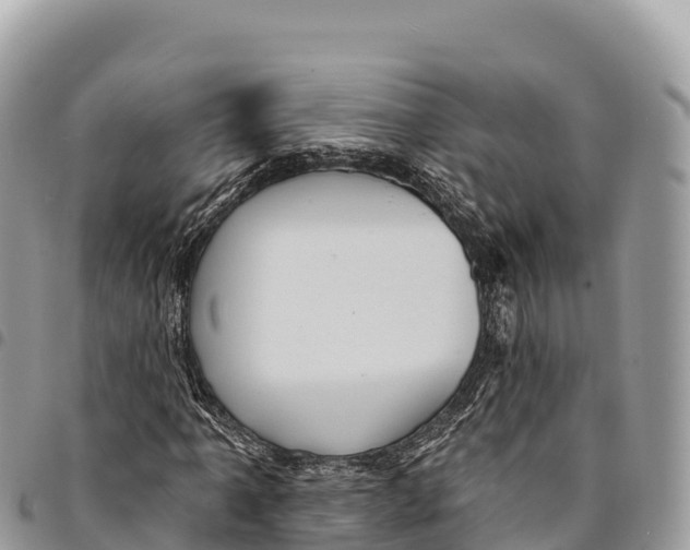 X0000094421061200711291544