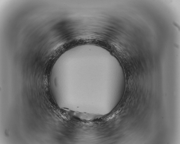 X0000094421062200711291544