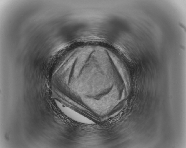 X0000094421063200711291544