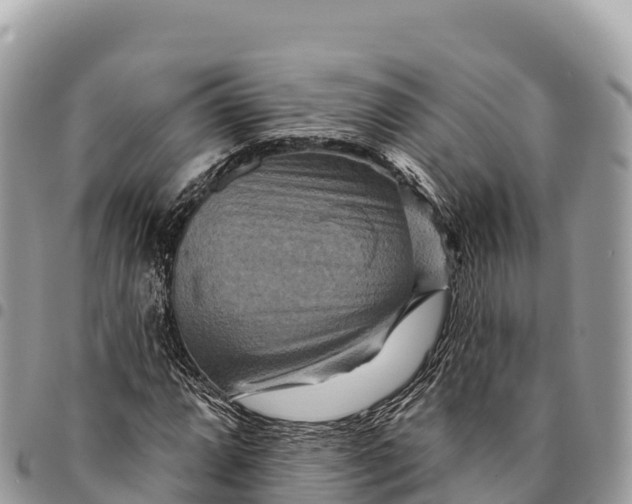 X0000094421064200711291544