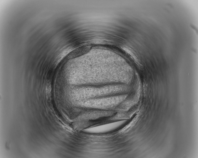 X0000094421065200711291544