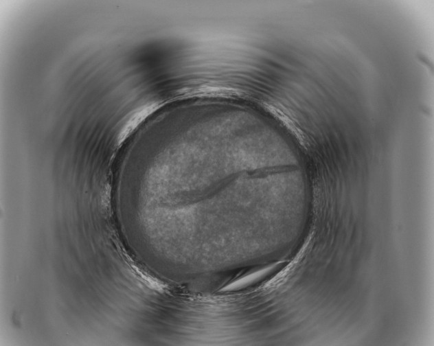 X0000094421066200711291544