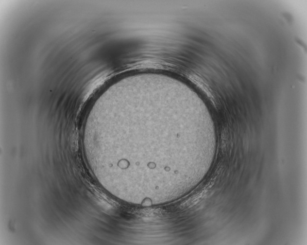 X0000094421067200711291544