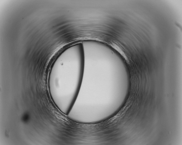 X0000094421068200711291544