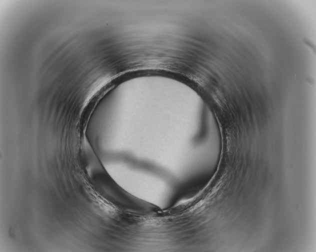 X0000094421069200711291544