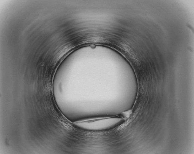 X0000094421073200711291544