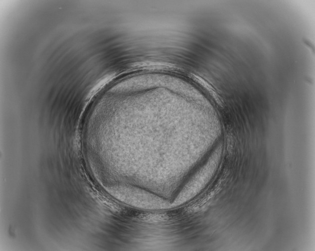 X0000094421074200711291544