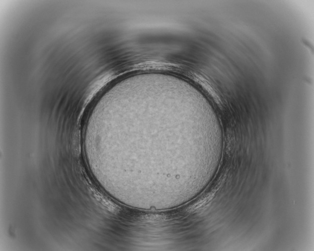 X0000094421075200711291544