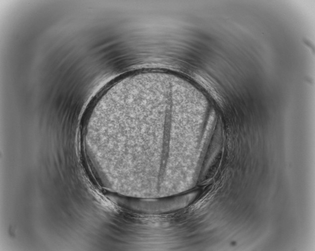 X0000094421076200711291544