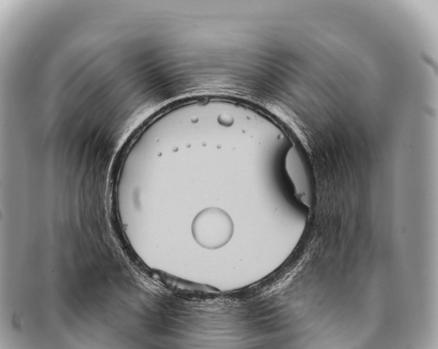 X0000094421077200711291544