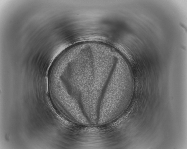 X0000094421079200711291544