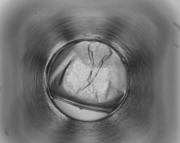 X0000094421080200711291544