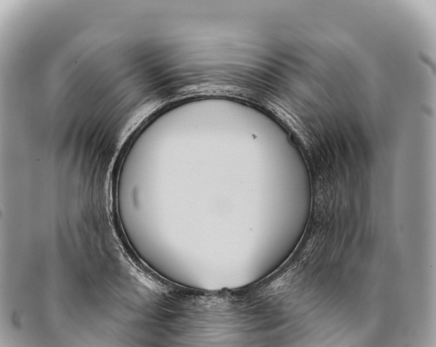 X0000094421082200711291544