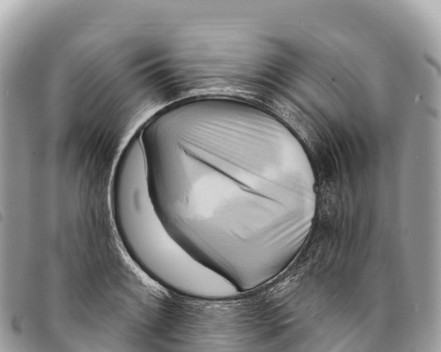 X0000094421084200711291544