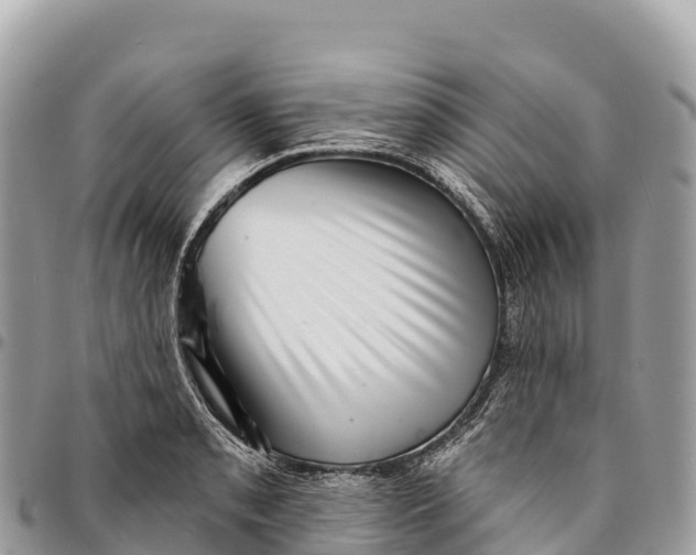 X0000094421085200711291544