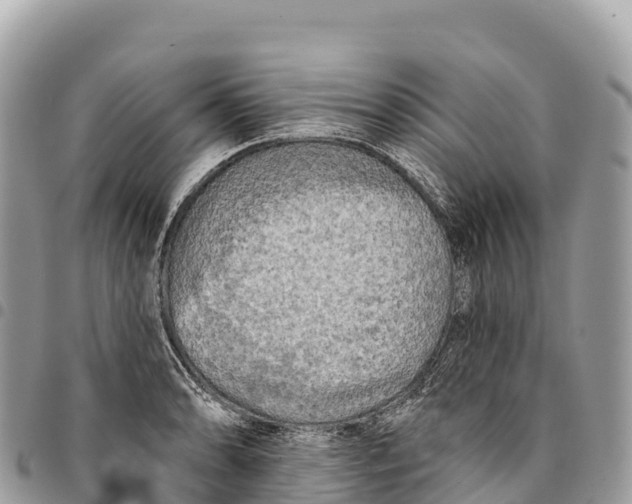 X0000094421086200711291544