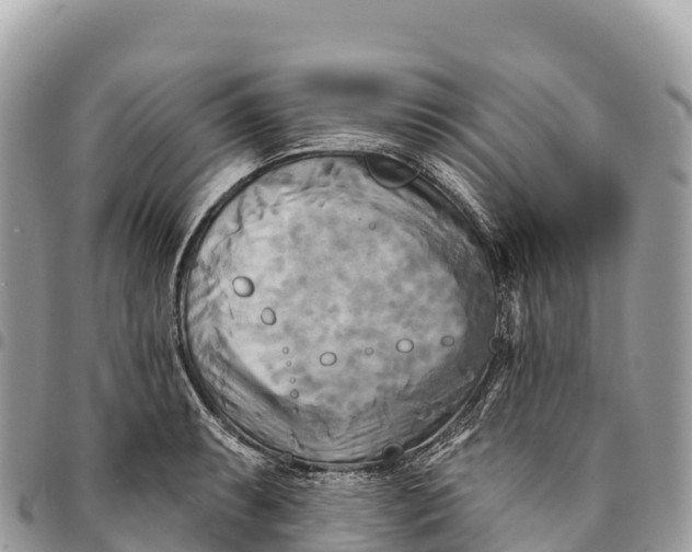 X0000094421087200711291544