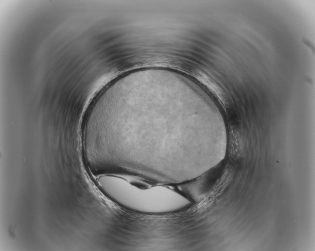 X0000094421088200711291544