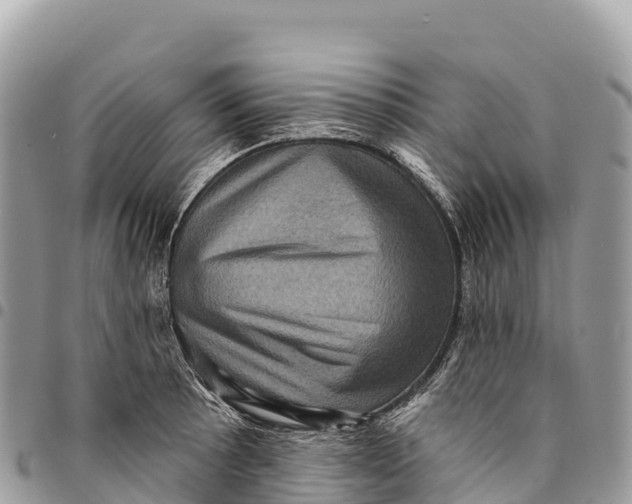 X0000094421089200711291544