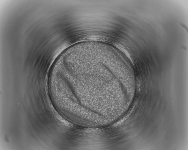 X0000094421091200711291544