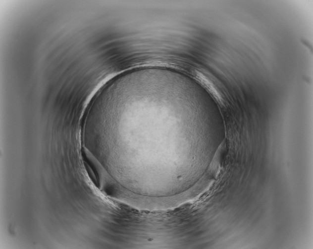 X0000094421092200711291544