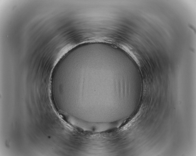 X0000094421093200711291544