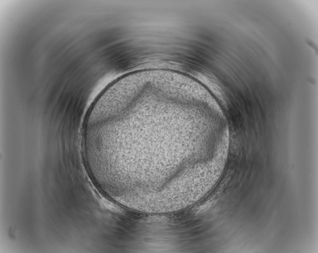 X0000094421094200711291544