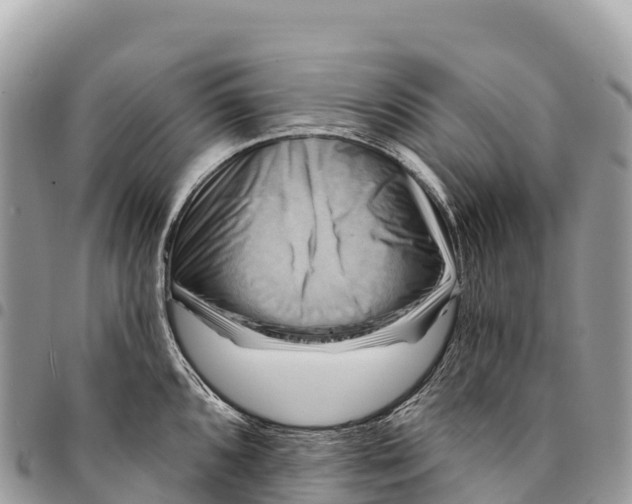 X0000094421096200711291544