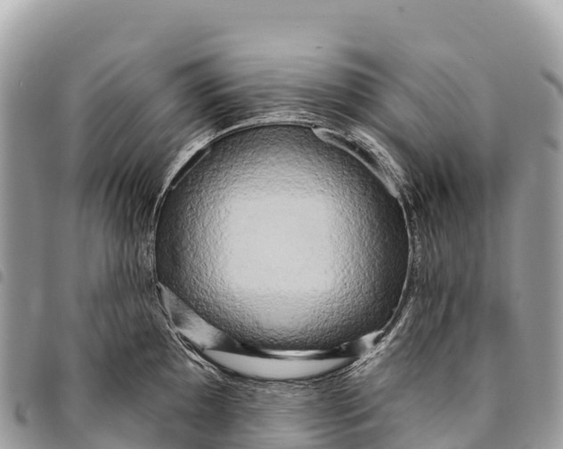 X0000094421097200711291544