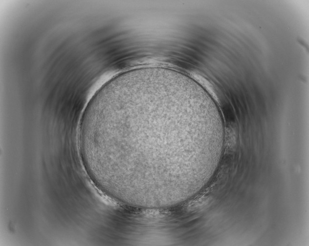 X0000094421098200711291544