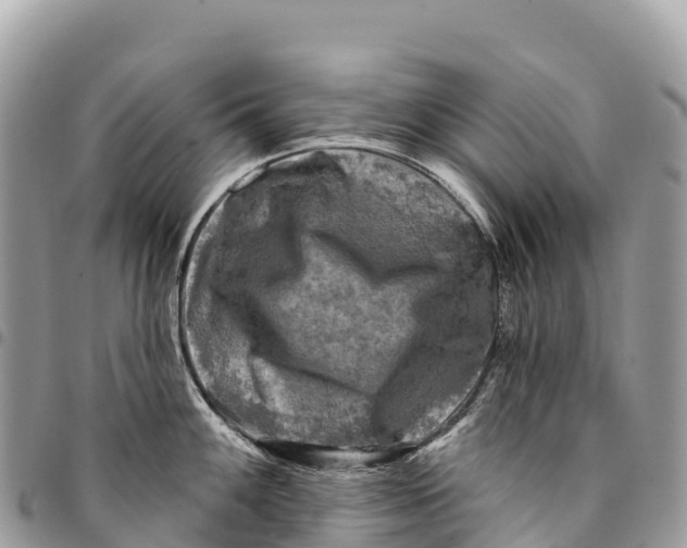 X0000094421100200711291544