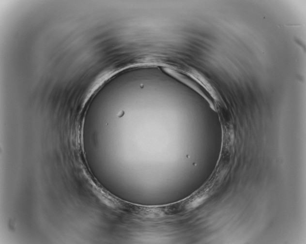 X0000094421101200711291544