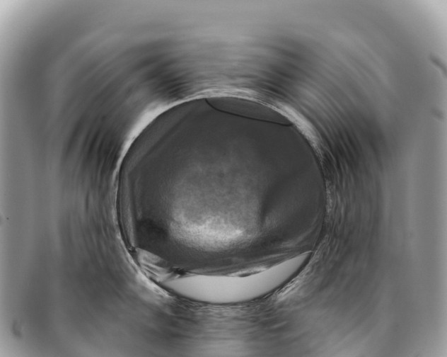 X0000094421102200711291544