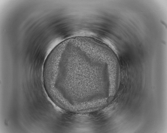 X0000094421103200711291544