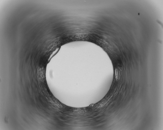 X0000094421107200711291543