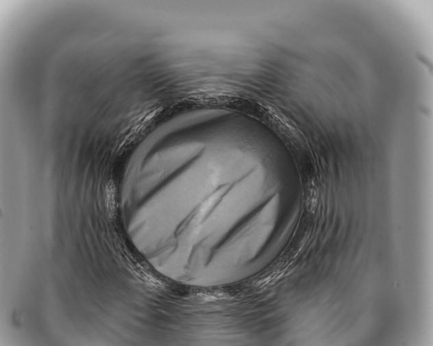 X0000094421108200711291543
