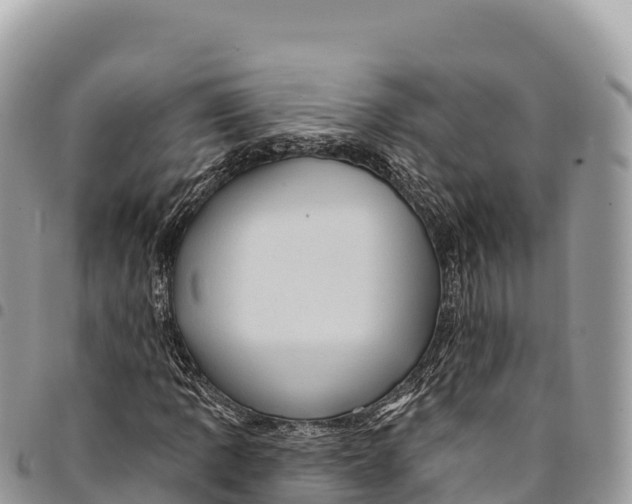 X0000094421109200711291543