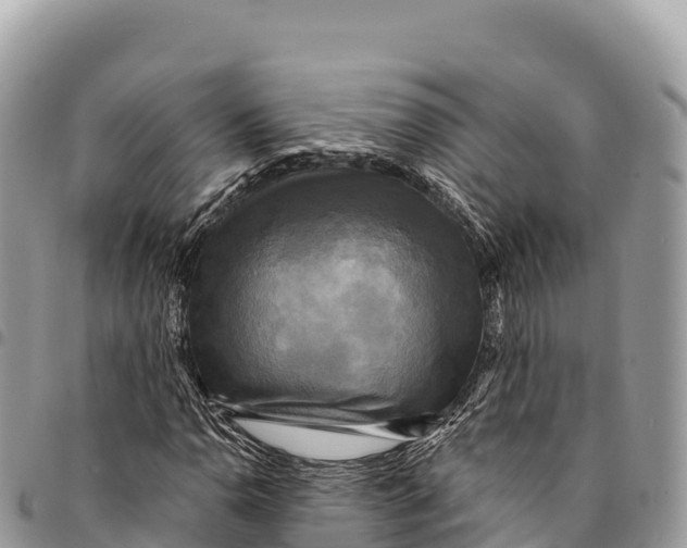 X0000094421110200711291543