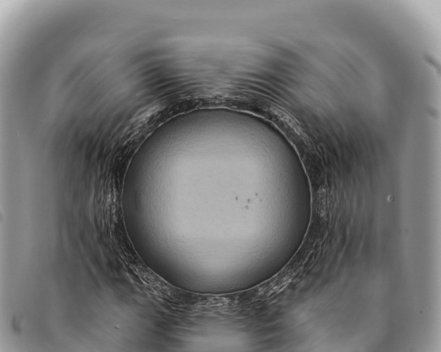 X0000094421111200711291543