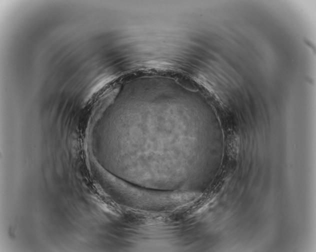 X0000094421112200711291543