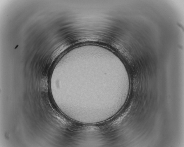 X0000094421113200711291543