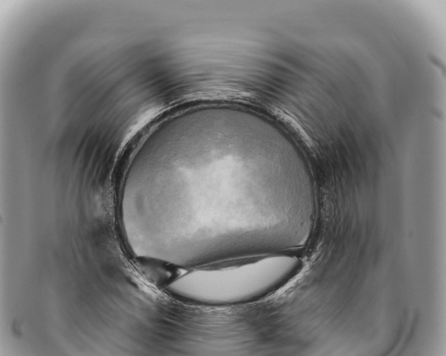 X0000094421114200711291543