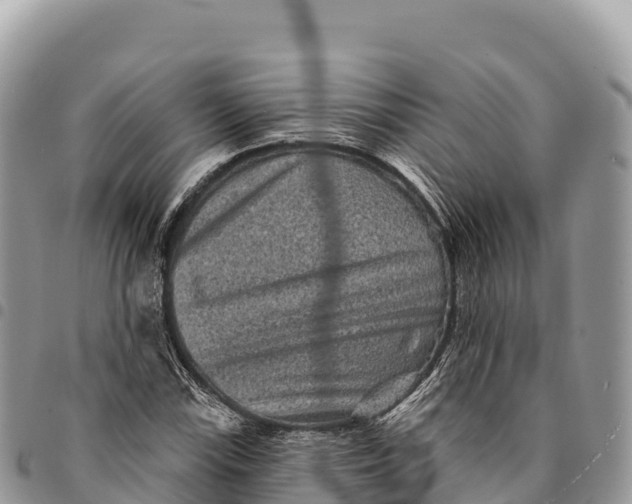 X0000094421115200711291543