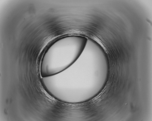 X0000094421116200711291543