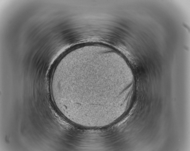 X0000094421118200711291543