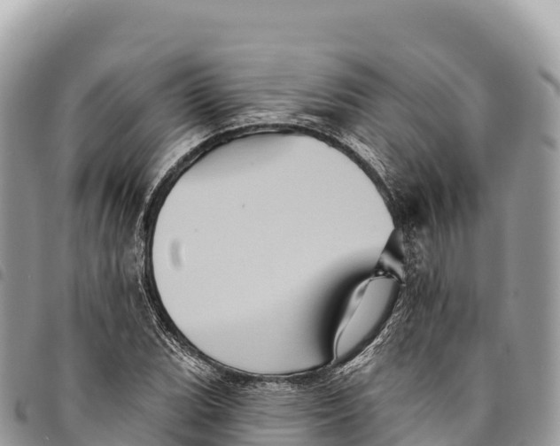 X0000094421119200711291543