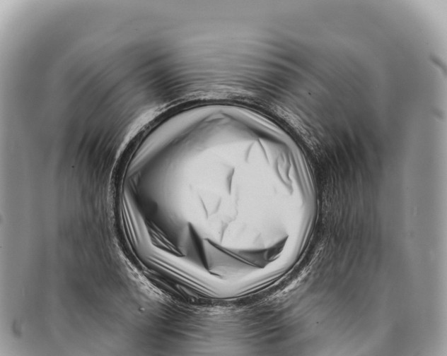 X0000094421122200711291543