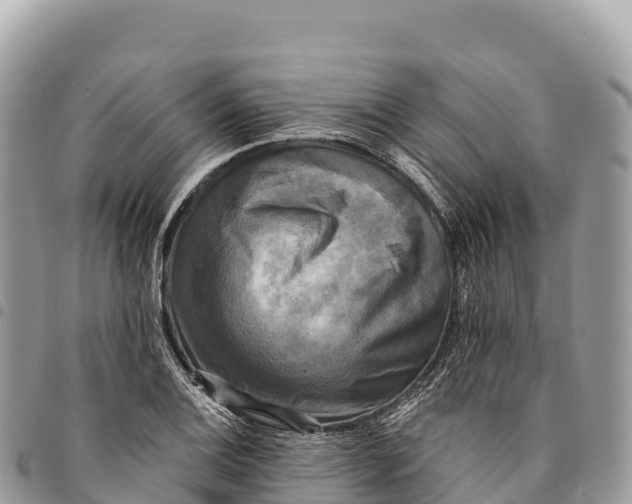 X0000094421124200711291543